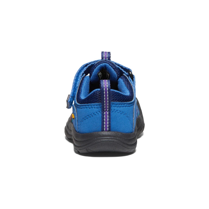 Keen Toddlers' Newport H2SHO | Multi/Bright Cobalt 7 Keen Toddlers' Newport H2SHO | Multi/Bright Cobalt - Image 5