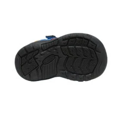 Keen Toddlers' Newport H2SHO | Multi/Bright Cobalt 13 Keen Toddlers' Newport H2SHO | Multi/Bright Cobalt -Keen Shoes Shop 0f9ee6253f57862281132f6947140b18015f43b1