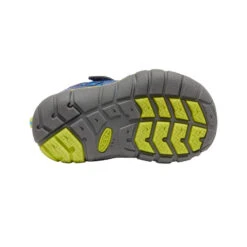 Keen Toddlers' Chandler CNX | Brilliant Blue/Blue Depths -Keen Shoes Shop c84d7533f646eeed144d36734c4c3d172553fc67